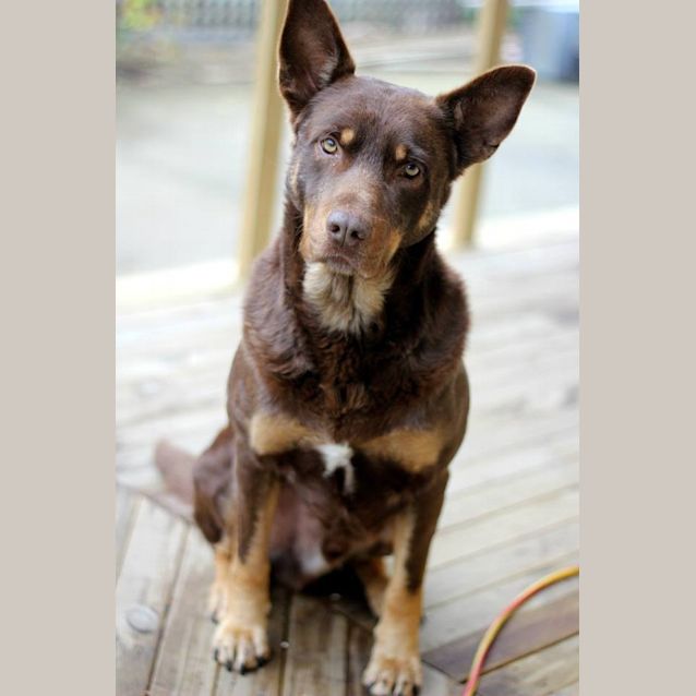 Photo of Ace