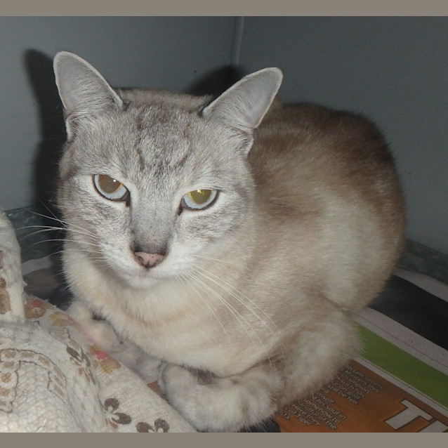 Photo of Frankie