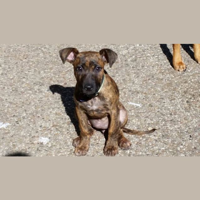 Photo of Ruby Rose 