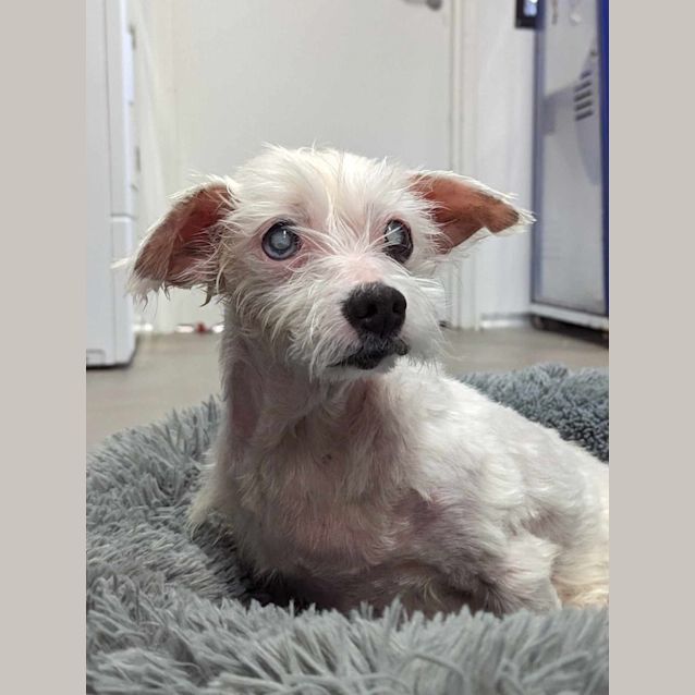 Photo of Penny & Baby