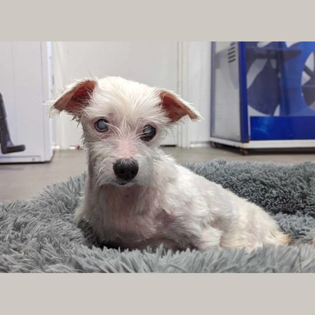 Photo of Penny & Baby