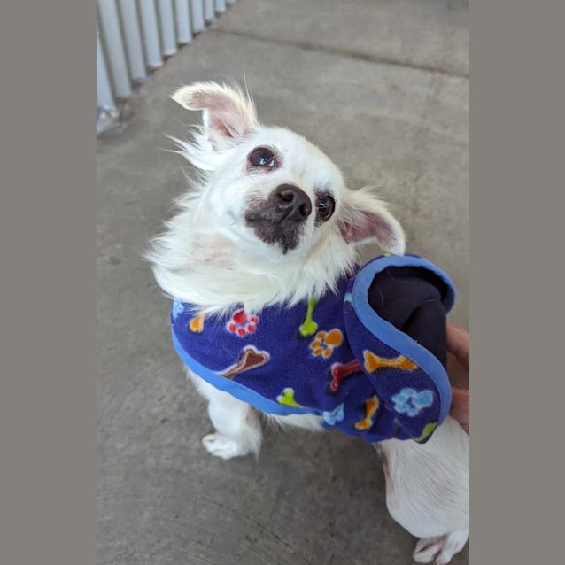 Photo of Penny & Baby