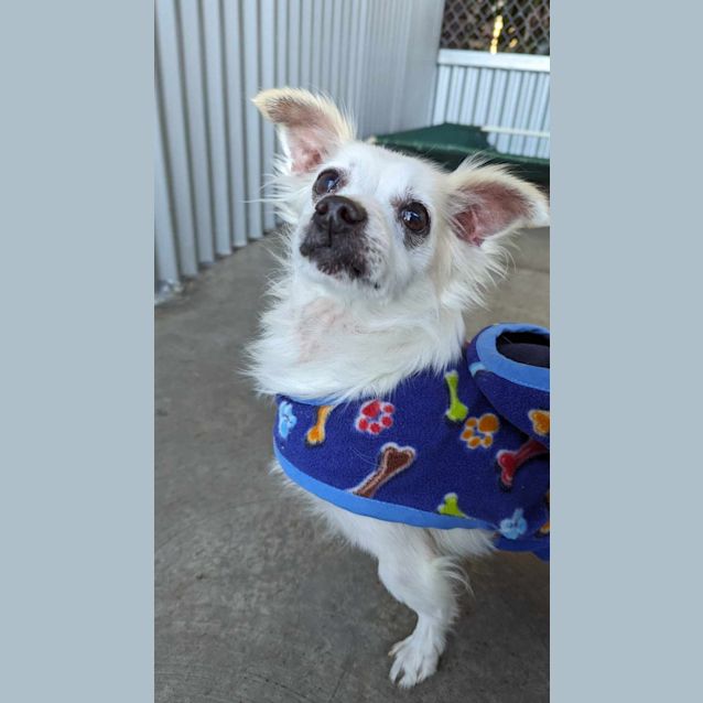 Photo of Penny & Baby