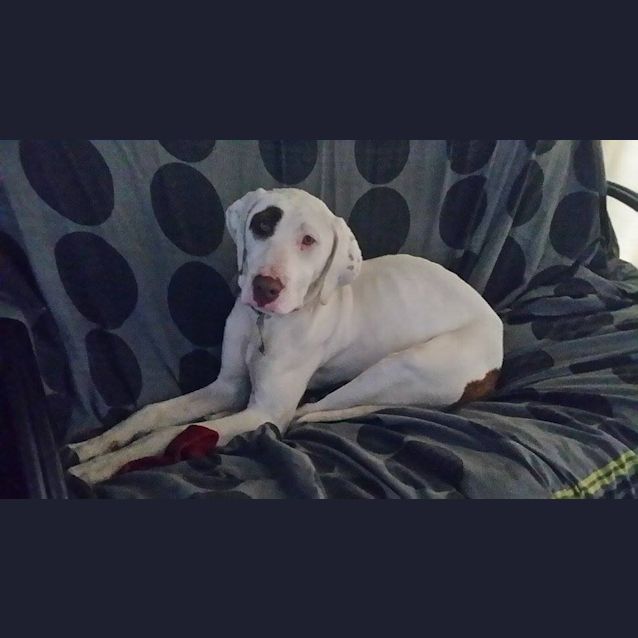 Photo of Angel