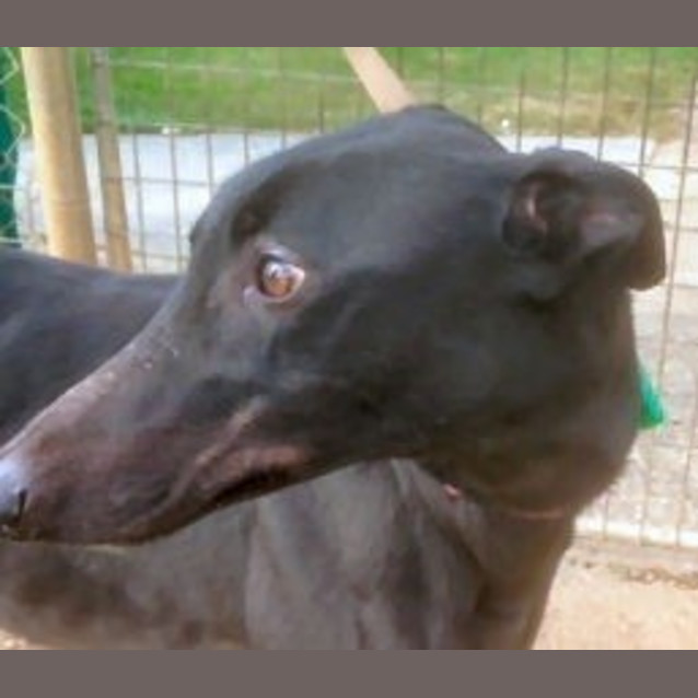 Photo of Corey Is Checking Out His New Home