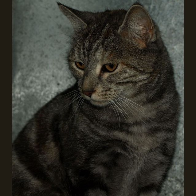 Photo of Ivy