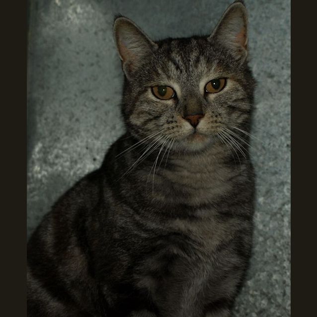 Photo of Ivy
