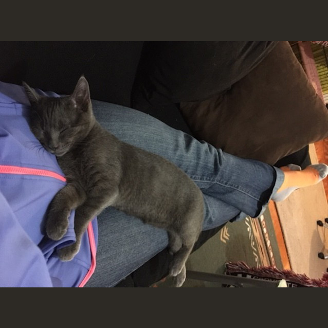 Photo of Pepper