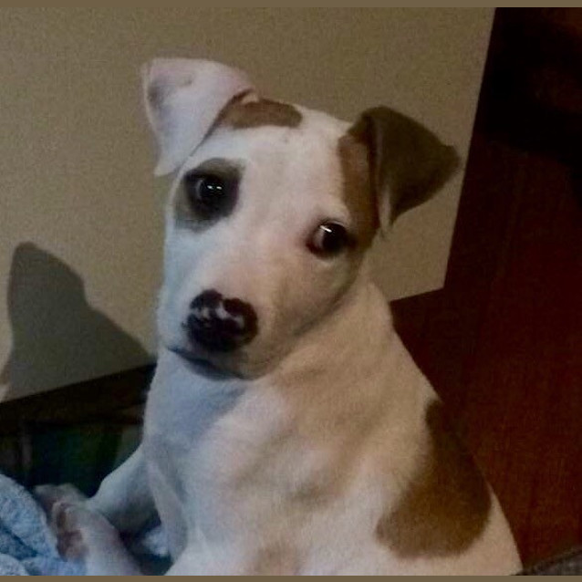 Photo of Gus