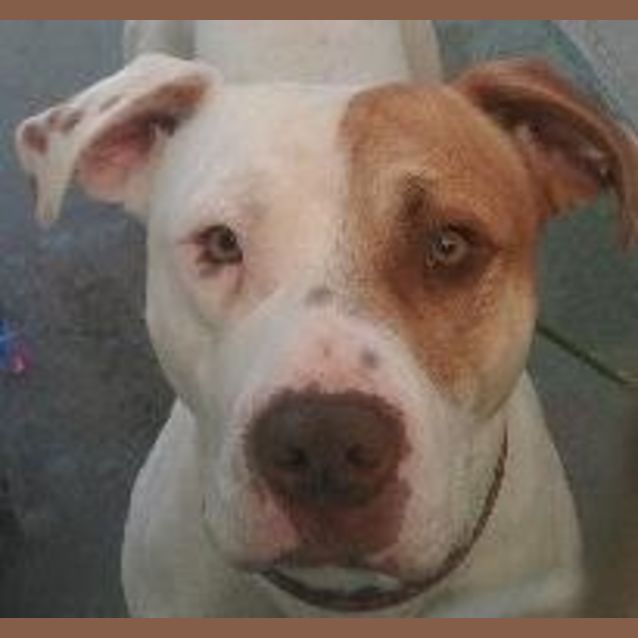 Photo of Axle