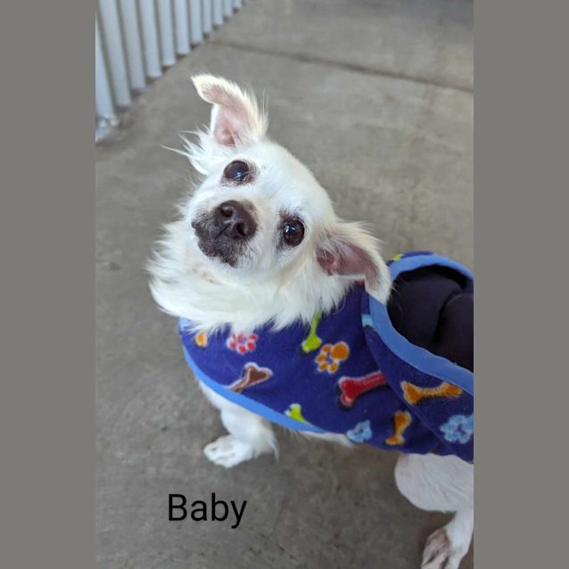 Photo of Baby & Penny