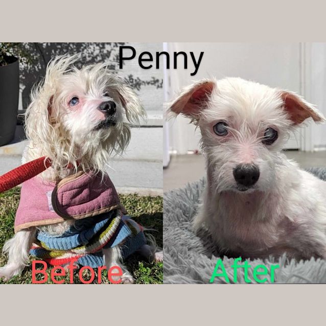 Photo of Baby & Penny