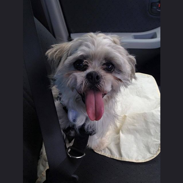 Photo of Andy