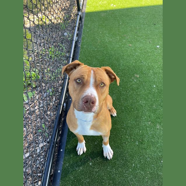 Photo of Oscar Imp 1121