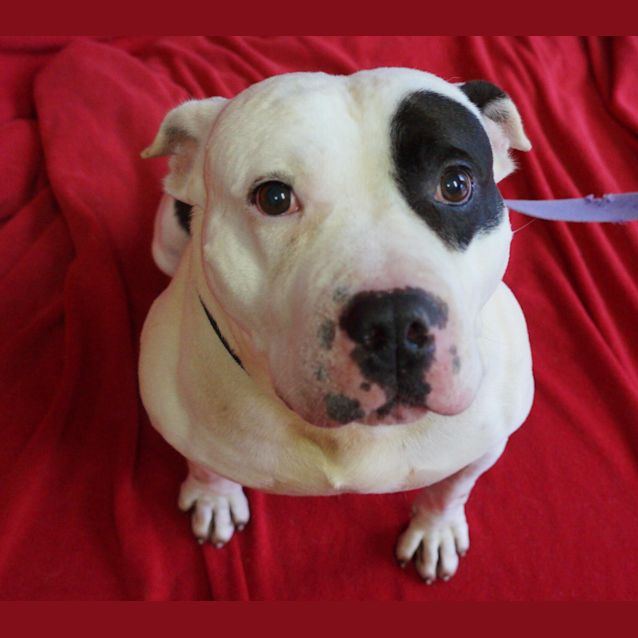 Photo of Beanie