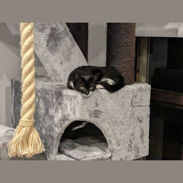 Photo of Fiona