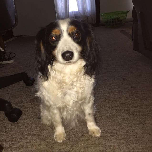 Photo of Charlie Dl1059
