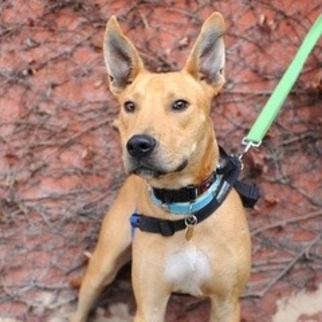 Photo of Sheldon