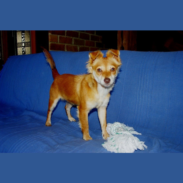 Photo of Rusty Ed0024 