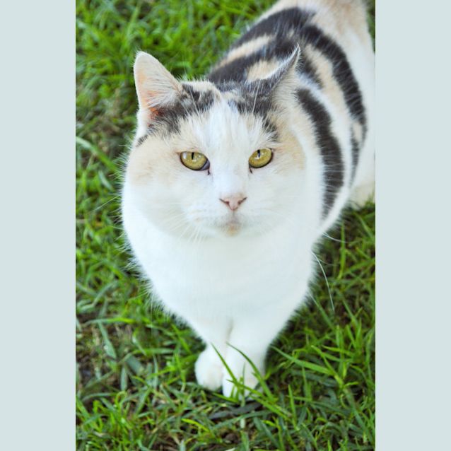 Photo of Alina 