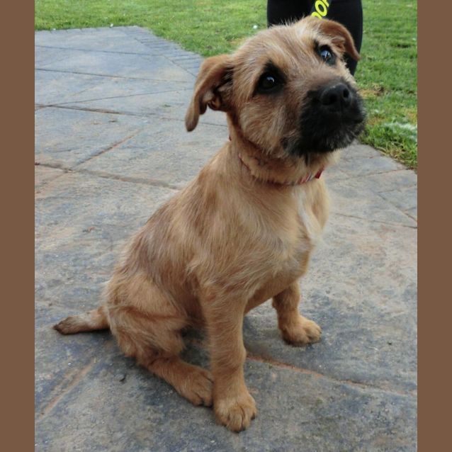 Photo of Elsa *On Trial In Her New Home*