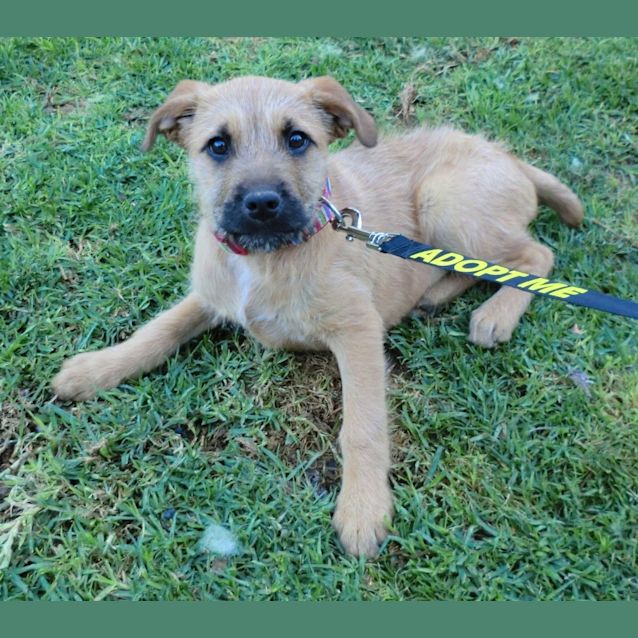 Photo of Elsa *On Trial In Her New Home*