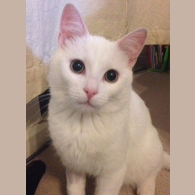 Photo of William