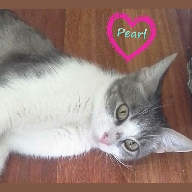 Photo of Pearl