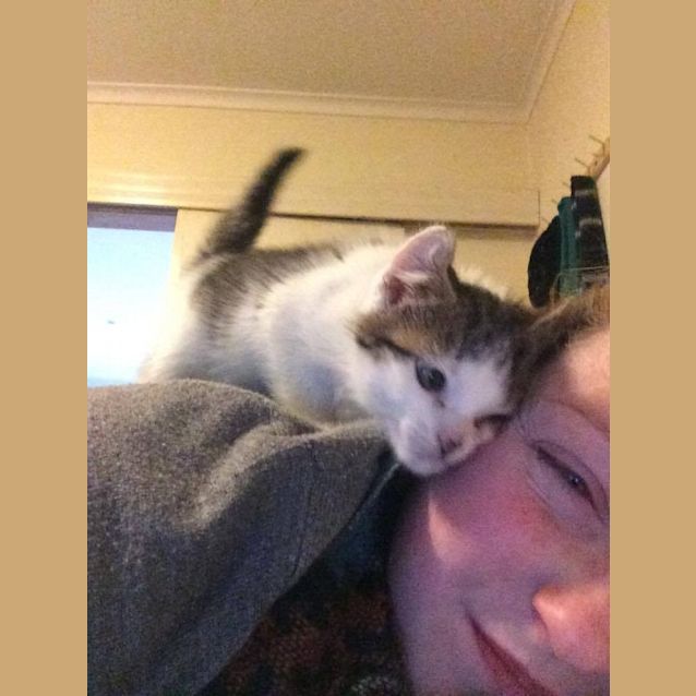Photo of Dash And Violet! In Frankston 