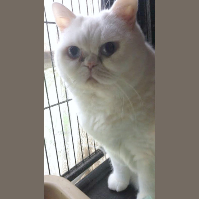 Photo of Bubbles   Special Needs