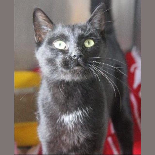 Photo of Thelma