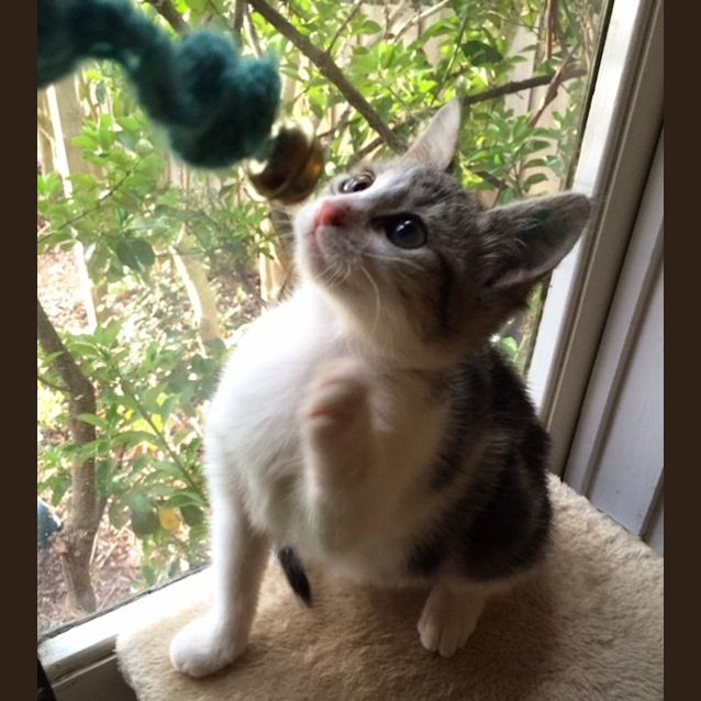 Photo of Maisy