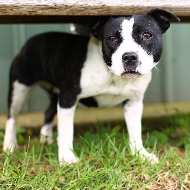 Photo of Maggie