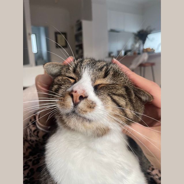 Photo of Barbados   Located In Brunswick East