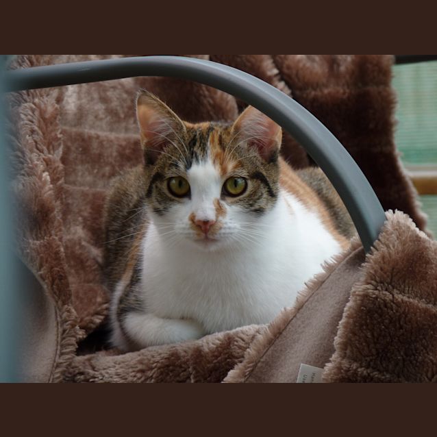Photo of Bindy 