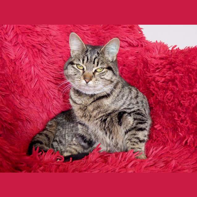 Photo of Monica ** Adoption Day**