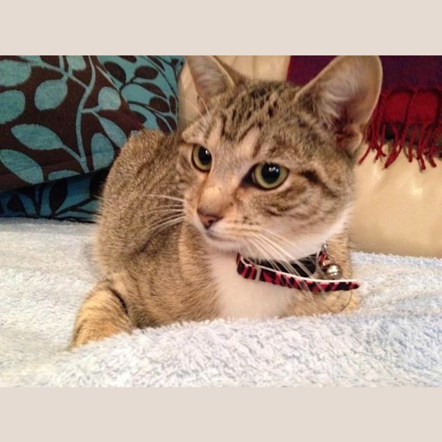 Photo of *** Heidi ***