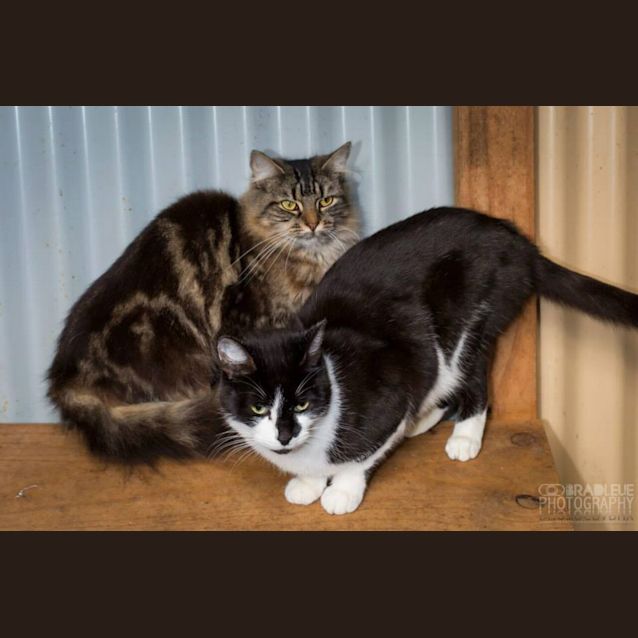 Photo of Karma & Cass