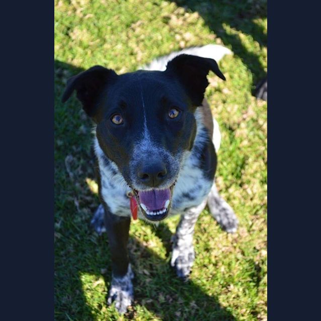 Photo of Sadie Dl849