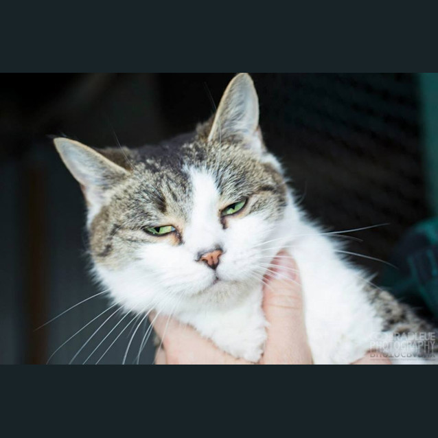 Photo of Billie Jean