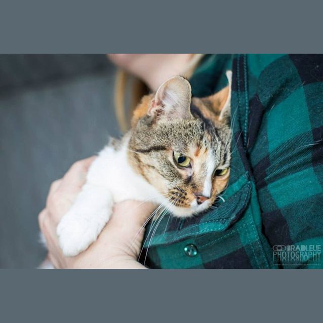 Photo of Little Girl