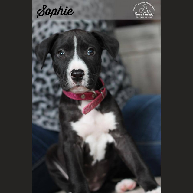 Photo of Sophie