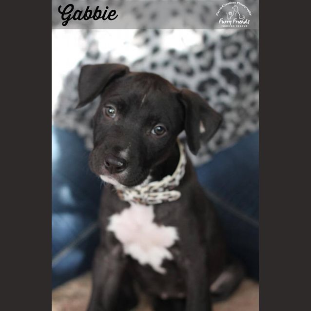 Photo of Gabbie