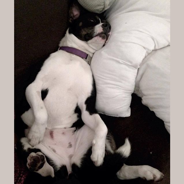 Photo of Lovely Lila