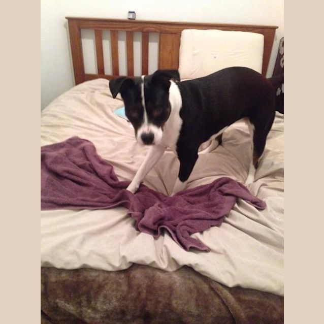 Photo of Lovely Lila