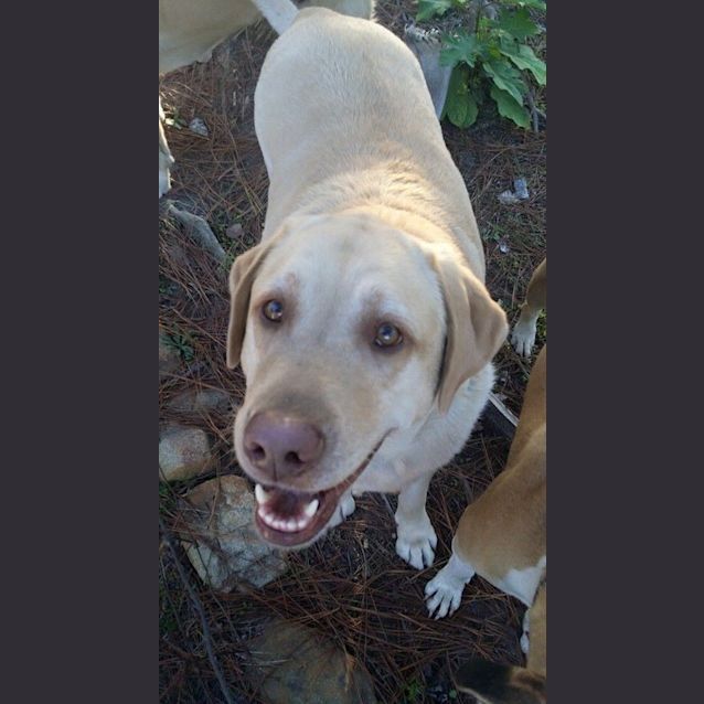 Photo of Starsky And Hutch