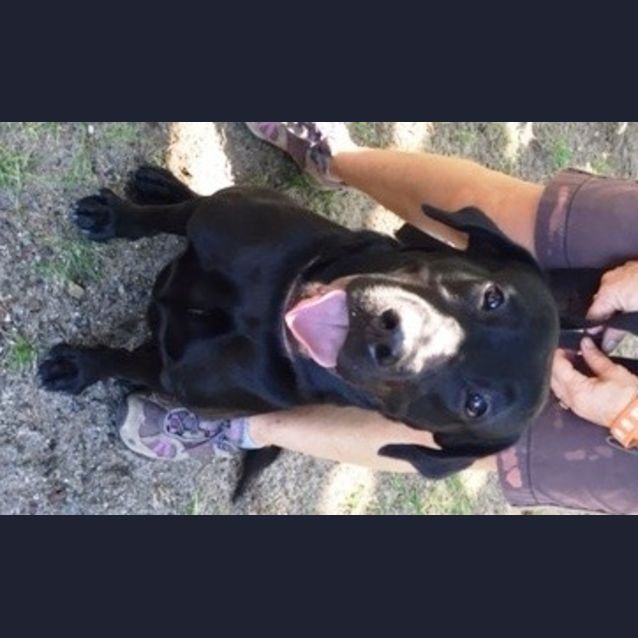 Photo of Molly
