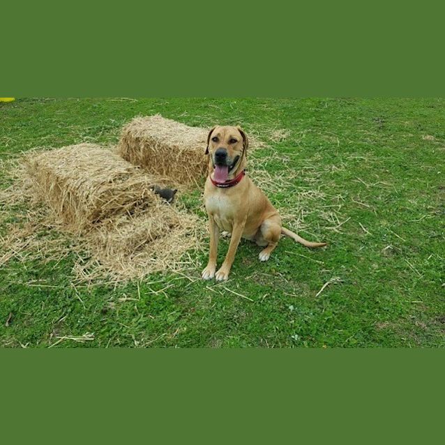 Photo of Abby Ec0025