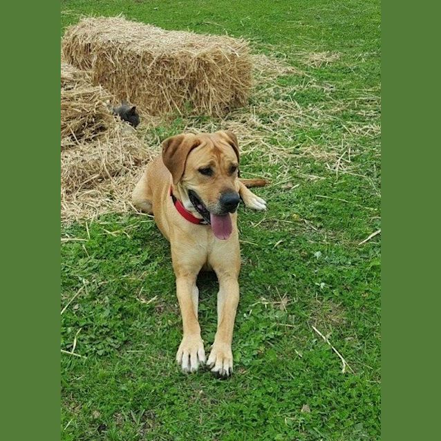 Photo of Abby Ec0025