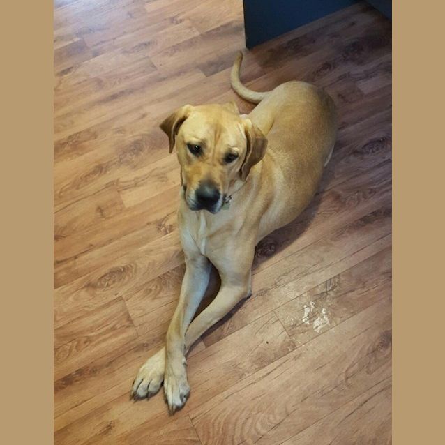 Photo of Abby Ec0025